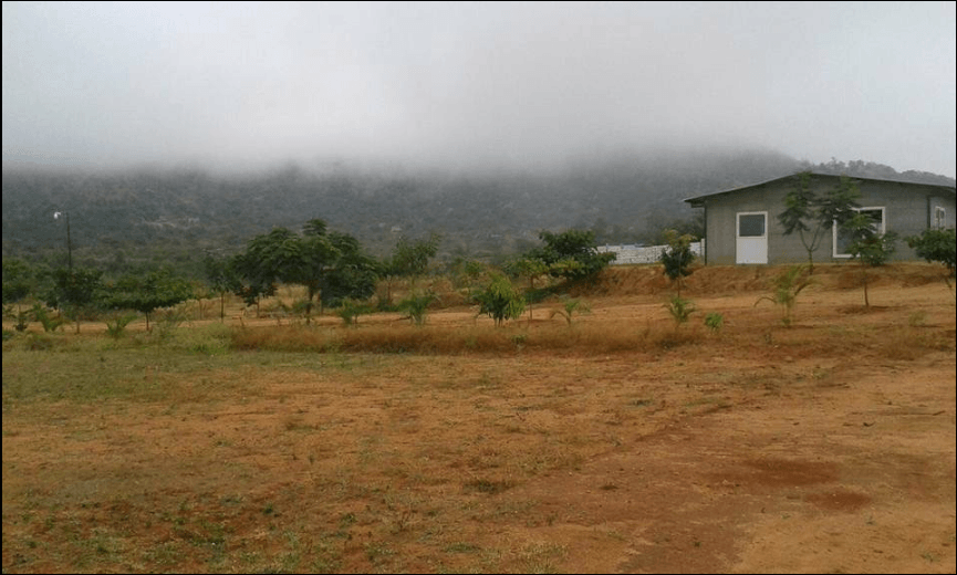 Foggy Mountain View