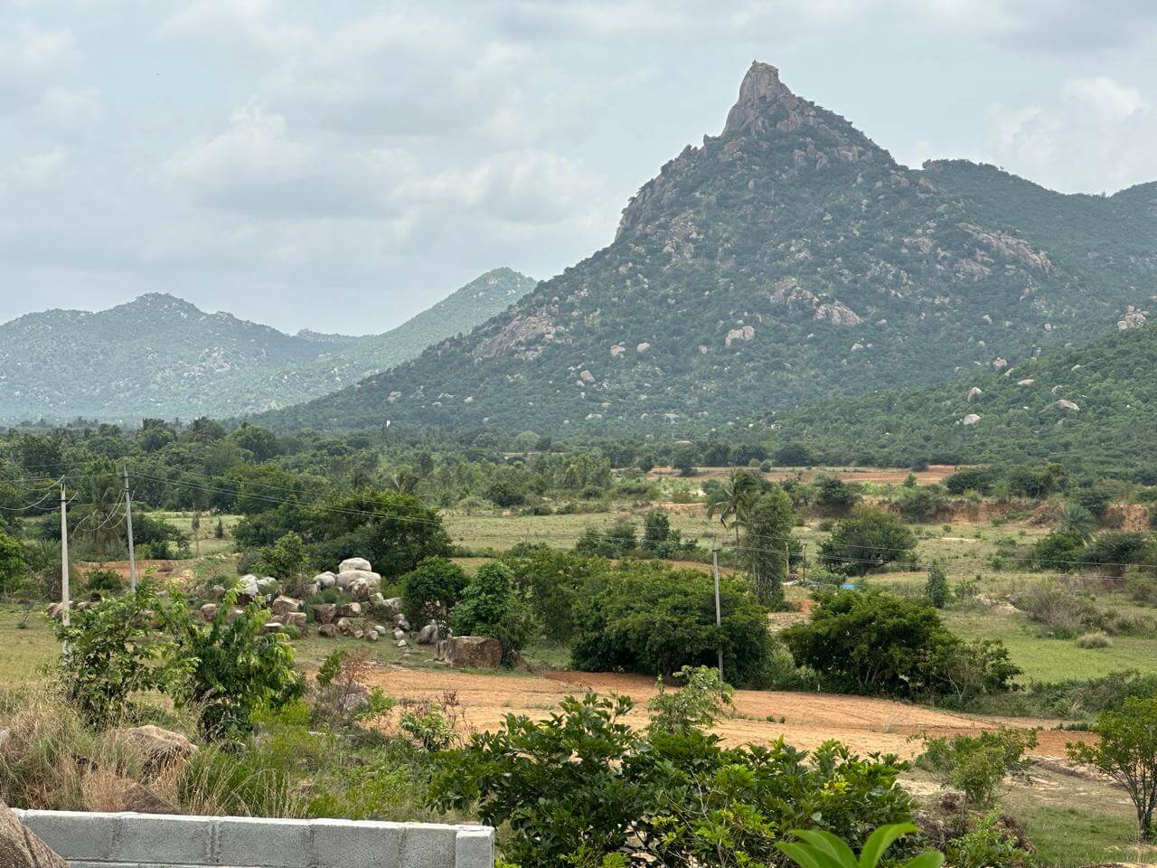 Scenic Mountain