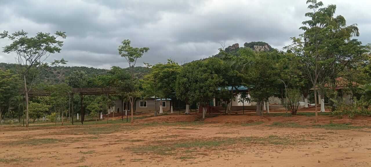 Resort Garden