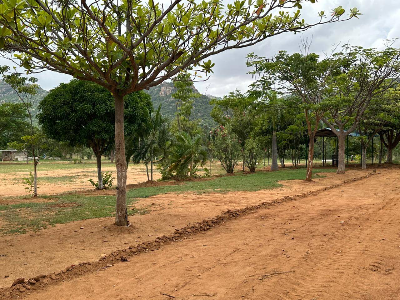 Resort Landscape