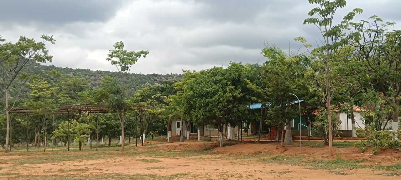 Resort Mountain View
