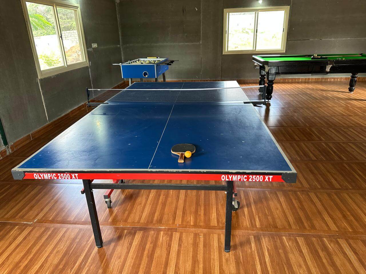 Table Tennis